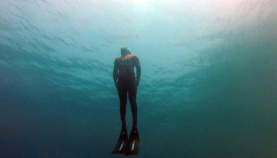 submarinismo y apnea islas canarias